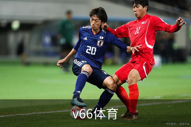 v66体育公司简介图片